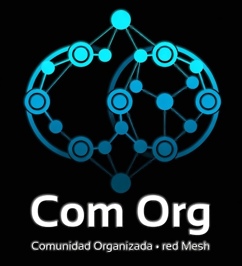 Com Org